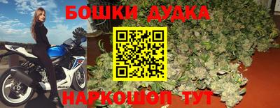 ALPHA PVP Бердск